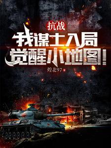 抗战我谋士入局觉醒小地图TXT