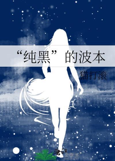 波黑cs