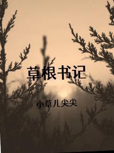 草根书记李天冀故事
