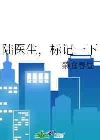 陆医生,标记一下